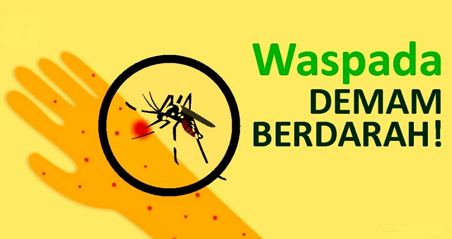 Waspada! Ada Peningkatan Kasus DBD di Bandar Lampung